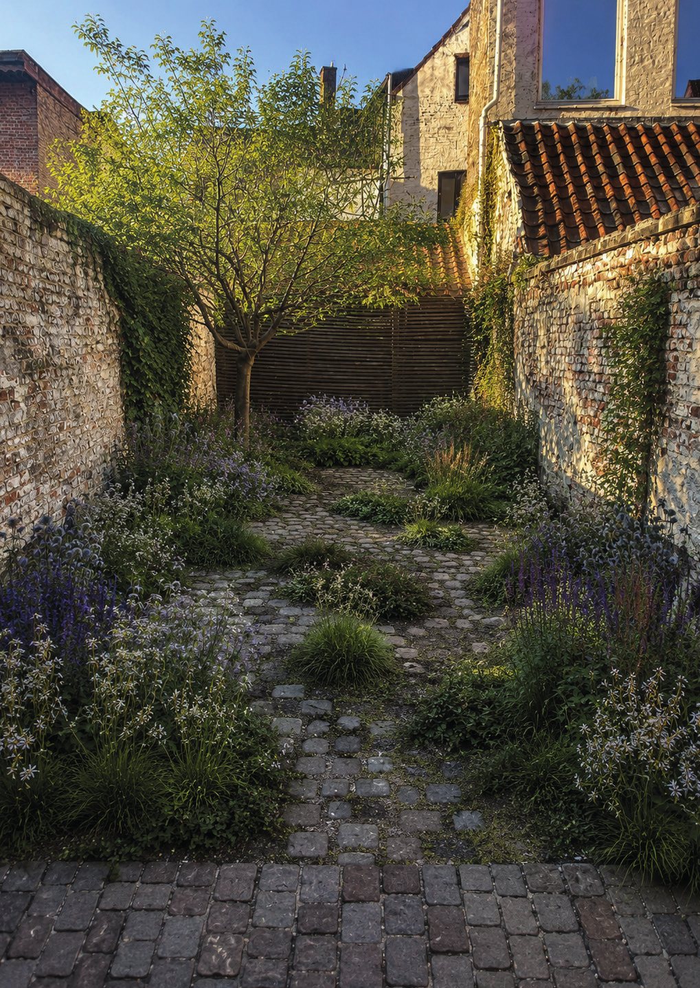 Ecological garden design by Lys-Damen Landscape Architecture, narrow walled garden with cobbled path and perennial planting, Burgstraat, Gent